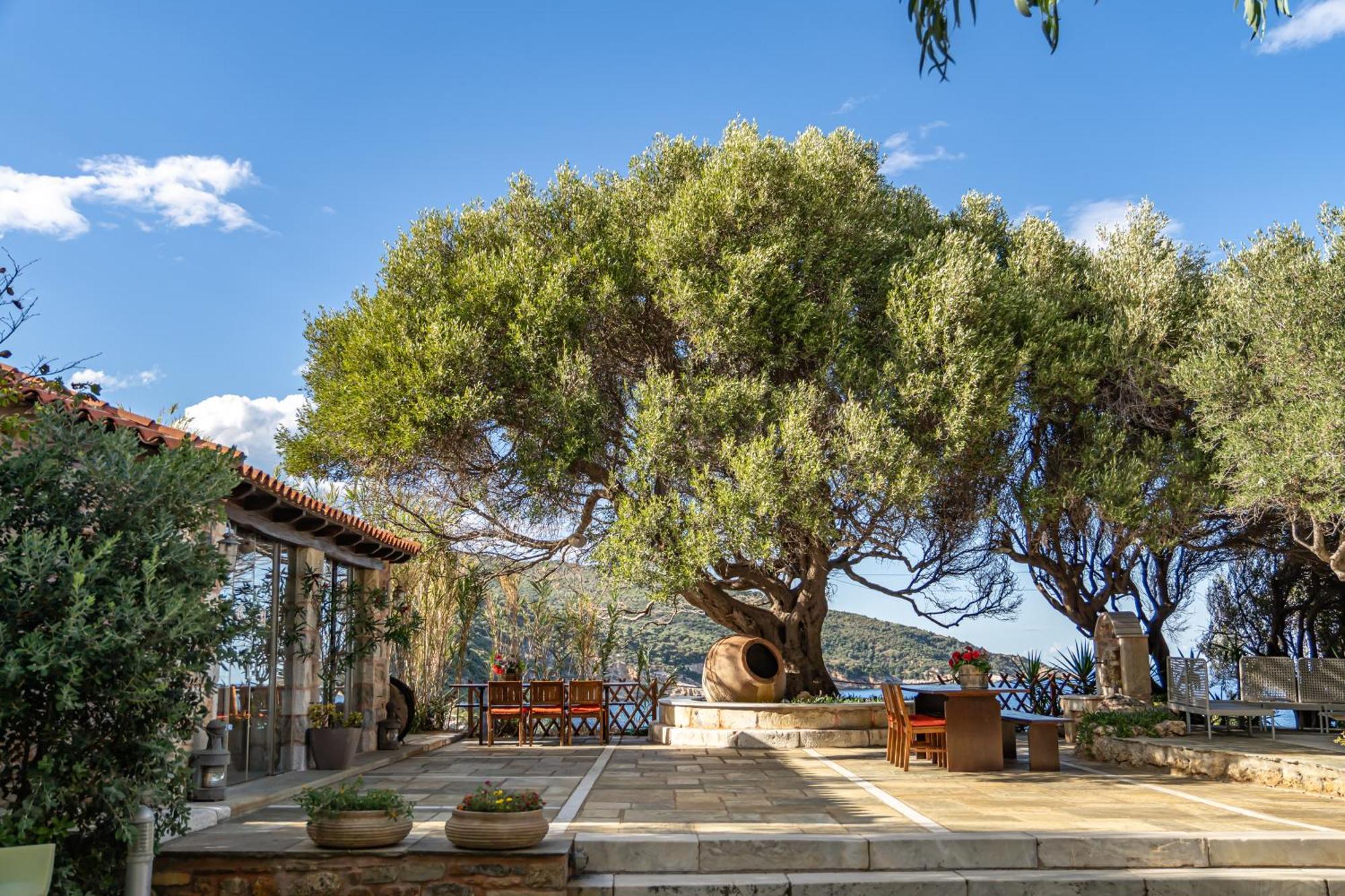 דירות פוטיסטיקה St George'S House מראה חיצוני תמונה